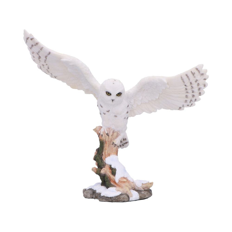 Snowfall Majestic Owl In Winter Scene 18cm 1