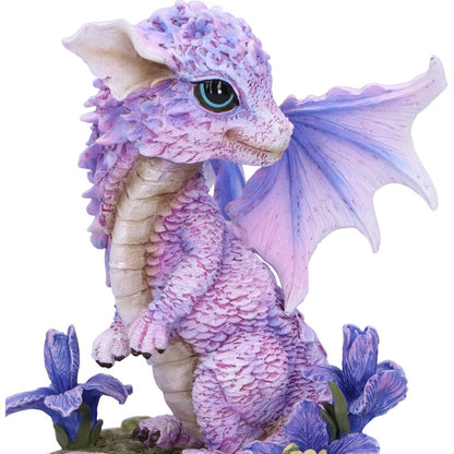 Iris Flower Dragon Figurine 12cm 5