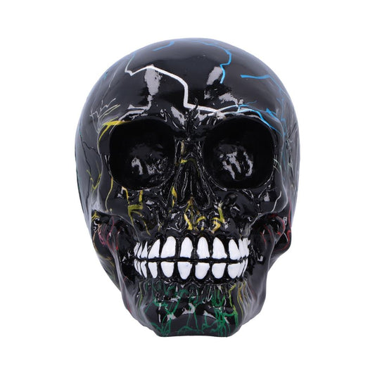 Electro Pack of 6 Decorative Resin Skulls 11cm 2