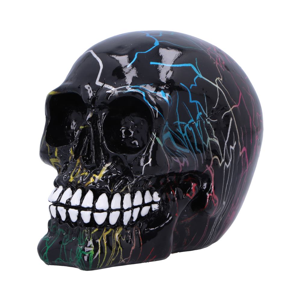 Electro Pack of 6 Decorative Resin Skulls 11cm 3