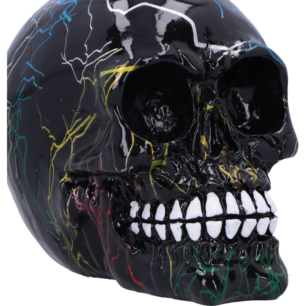 Electro Pack of 6 Decorative Resin Skulls 11cm 5