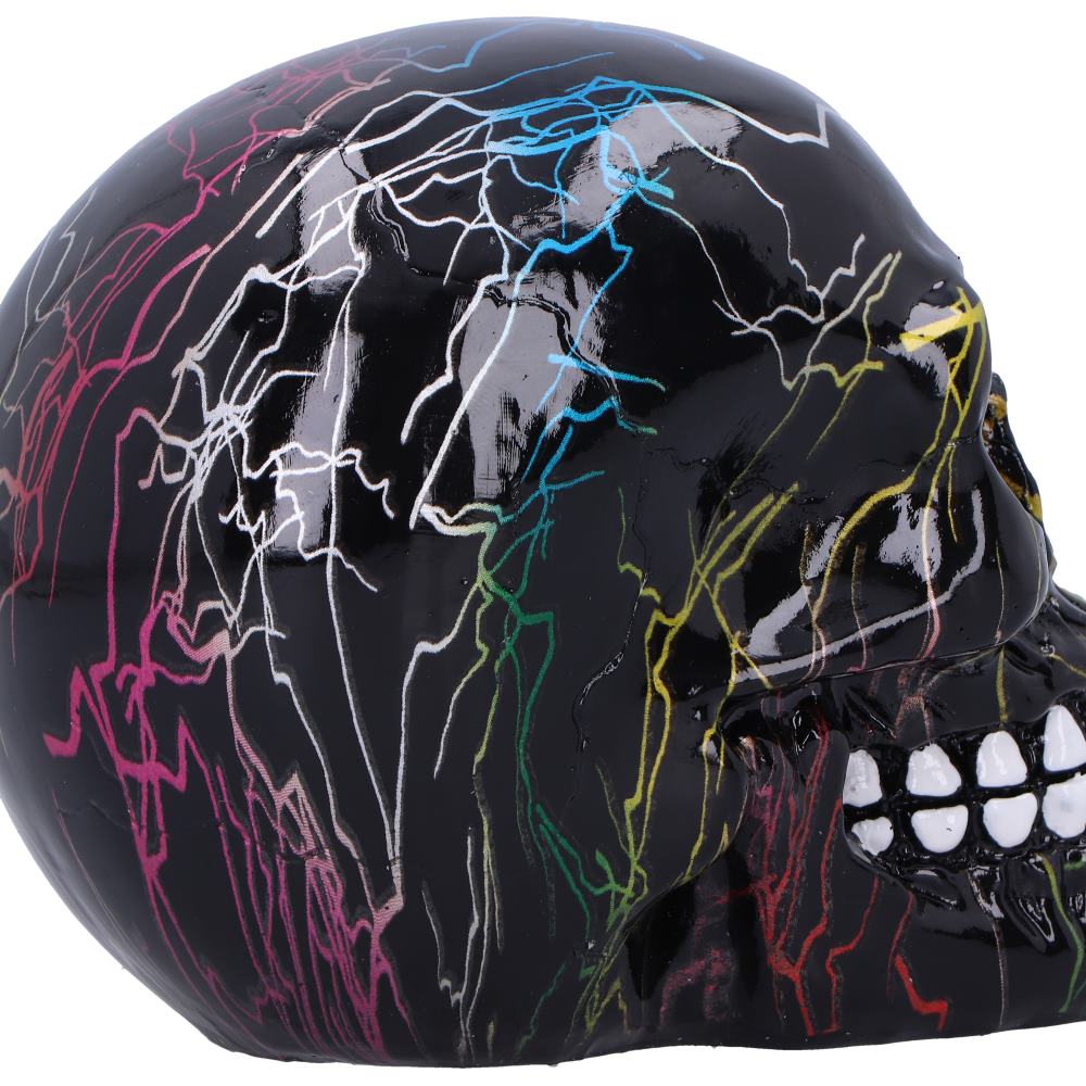 Electro Pack of 6 Decorative Resin Skulls 11cm 6