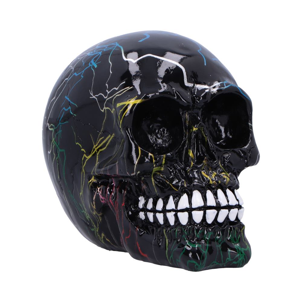 Electro Pack of 6 Decorative Resin Skulls 11cm 1