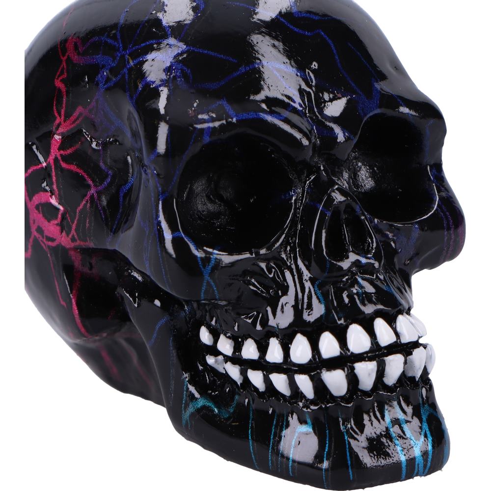 Electro Small Pack of 6 Decorative Resin Skulls 6cm 5