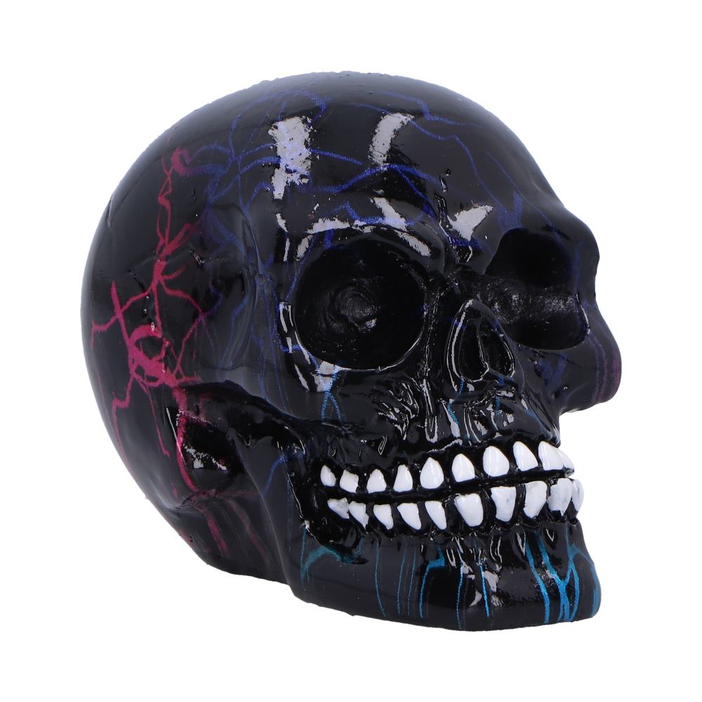 Electro Small Pack of 6 Decorative Resin Skulls 6cm 1
