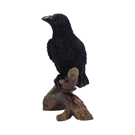 Ravens Perch 20cm Resin Bird Statue 2