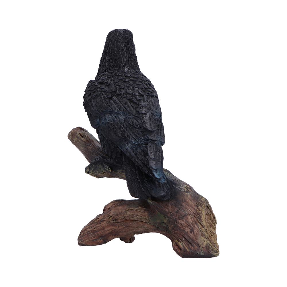 Ravens Perch 20cm Resin Bird Statue 3