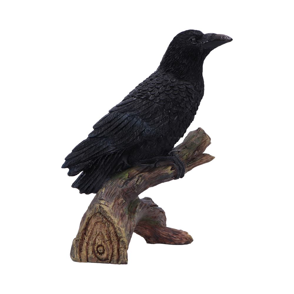 Ravens Perch 20cm Resin Bird Statue 4