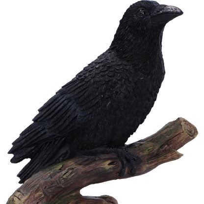 Ravens Perch 20cm Resin Bird Statue 5