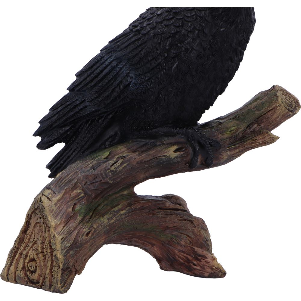 Ravens Perch 20cm Resin Bird Statue 6