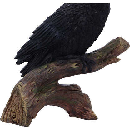 Ravens Perch 20cm Resin Bird Statue 6