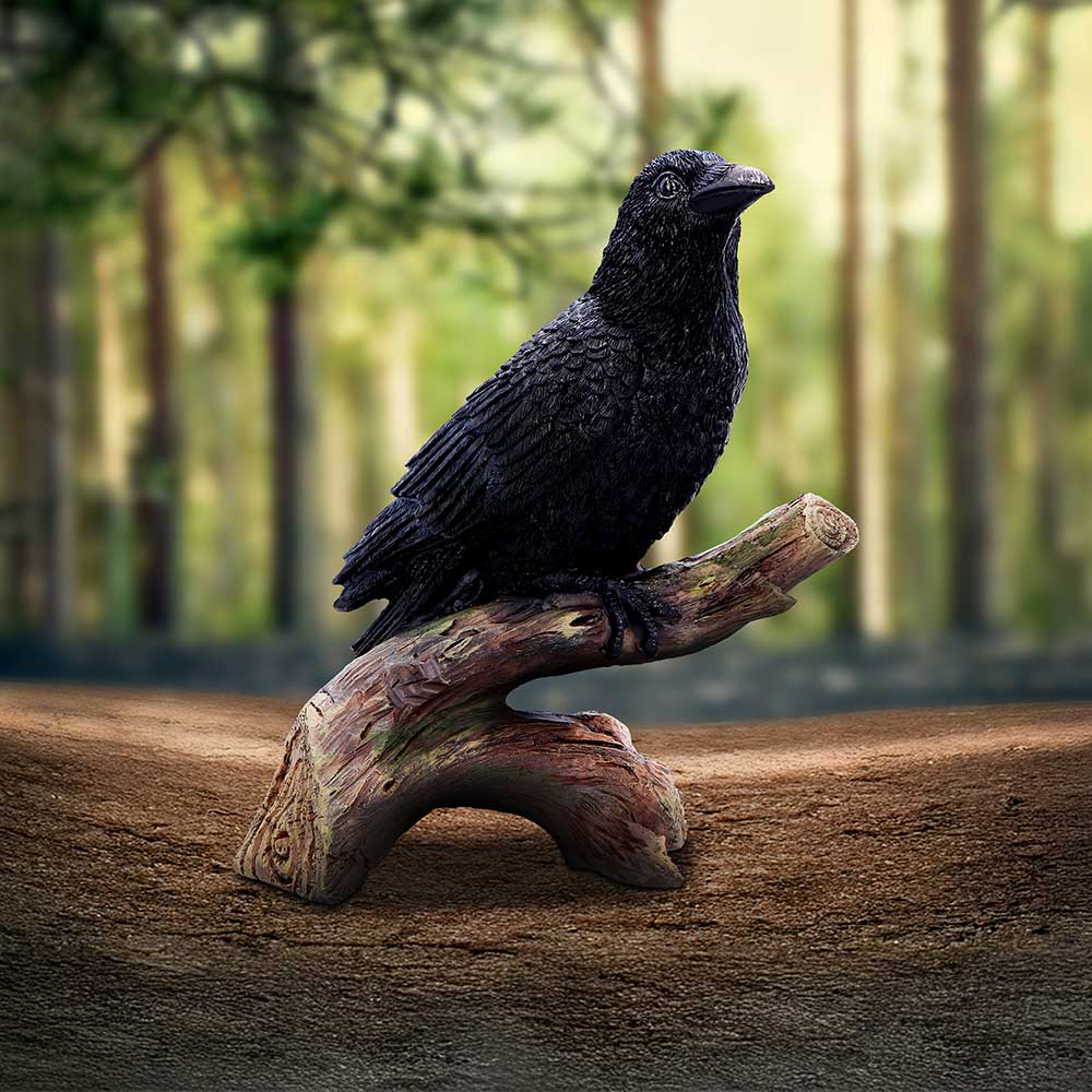 Ravens Perch 20cm Resin Bird Statue 7