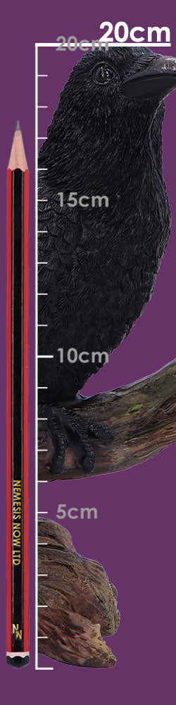 Ravens Perch 20cm Resin Bird Statue 8