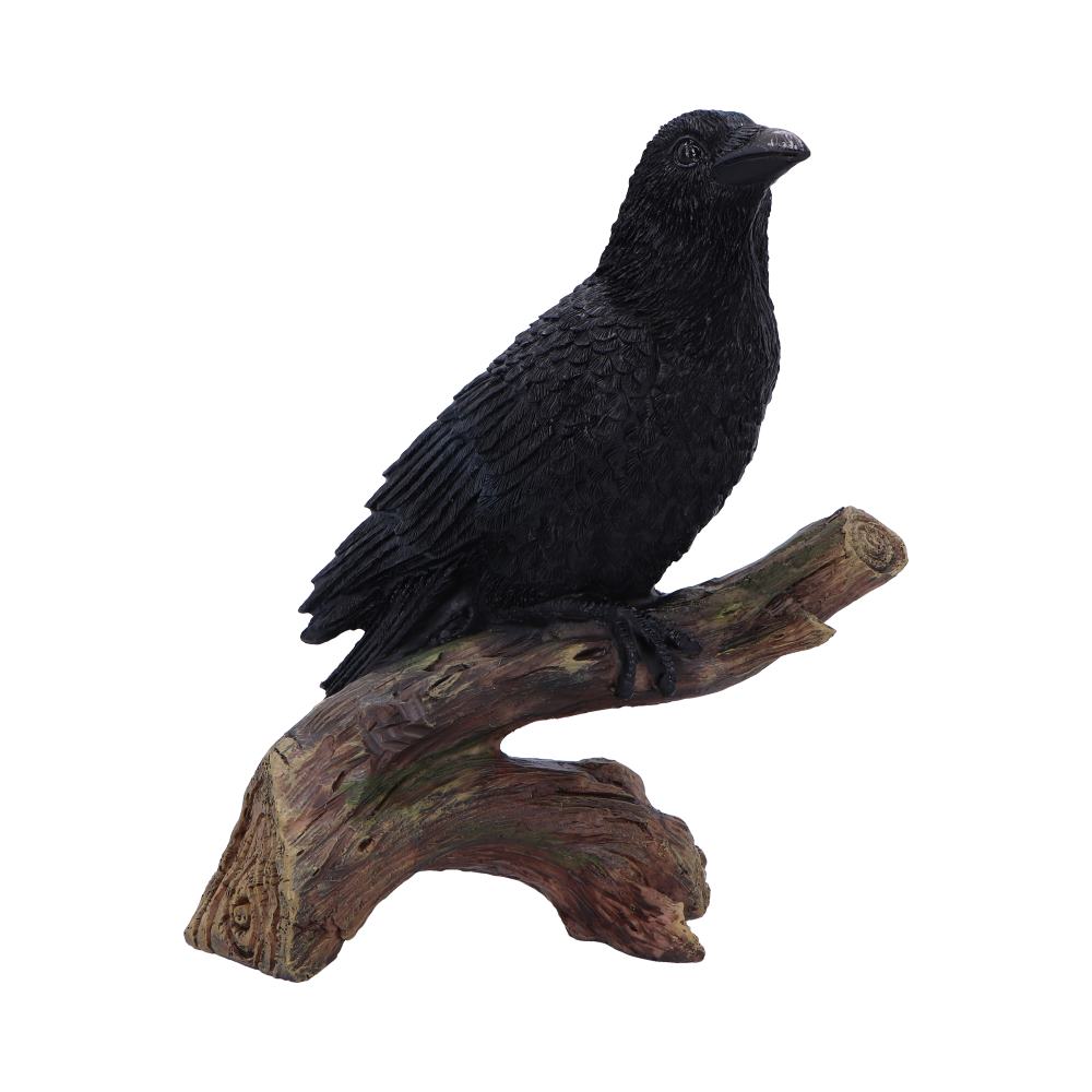 Ravens Perch 20cm Resin Bird Statue 1