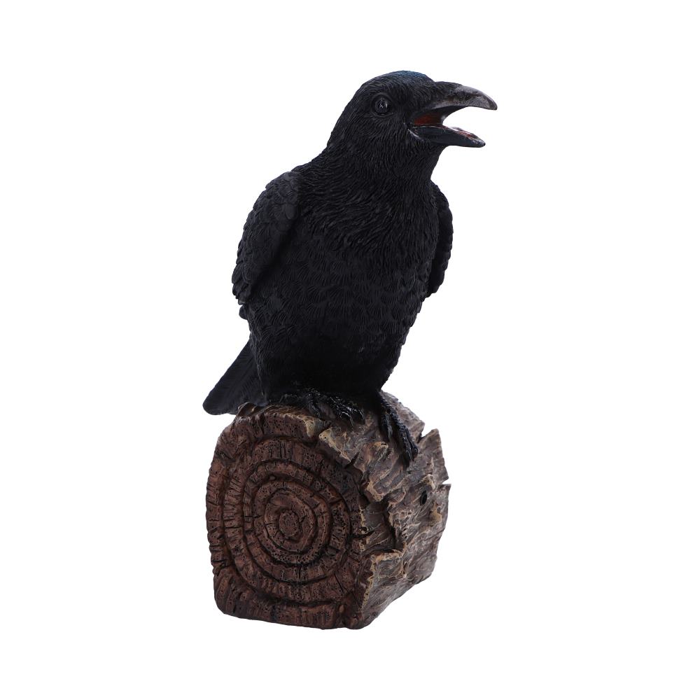 Ravens Cry with Motion Activated Sound Resin Statue 18cm 4