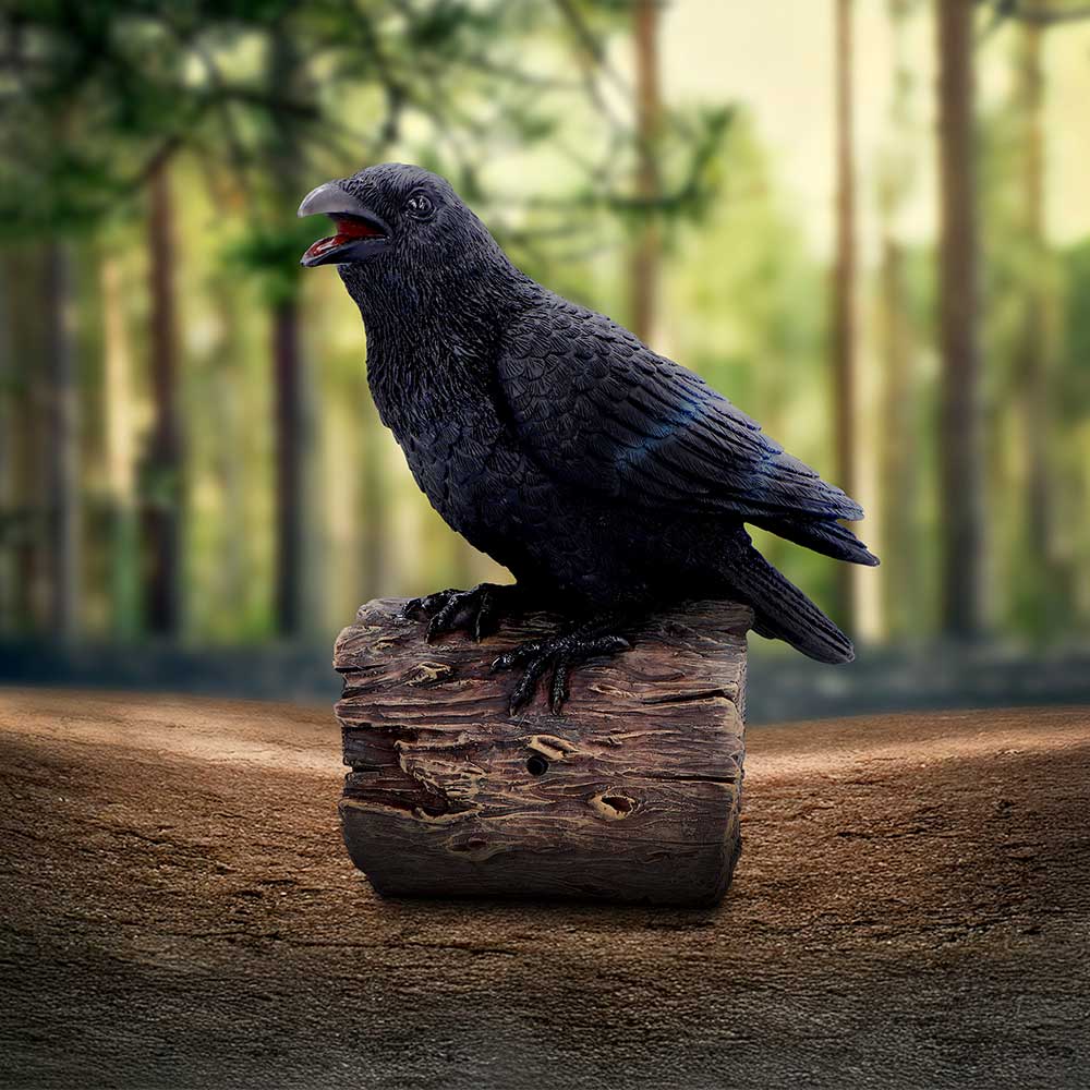 Ravens Cry with Motion Activated Sound Resin Statue 18cm 7