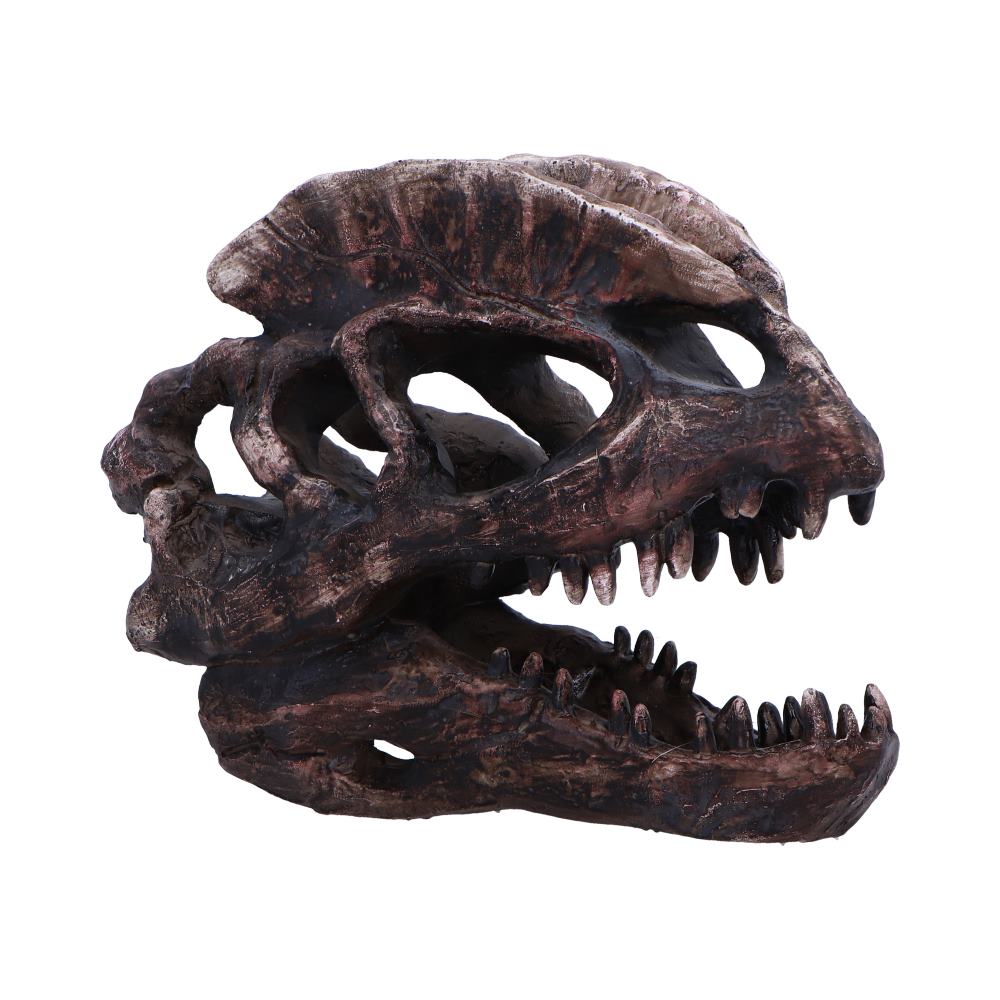Dilophosaurus Skull Resin Replica 16cm 1