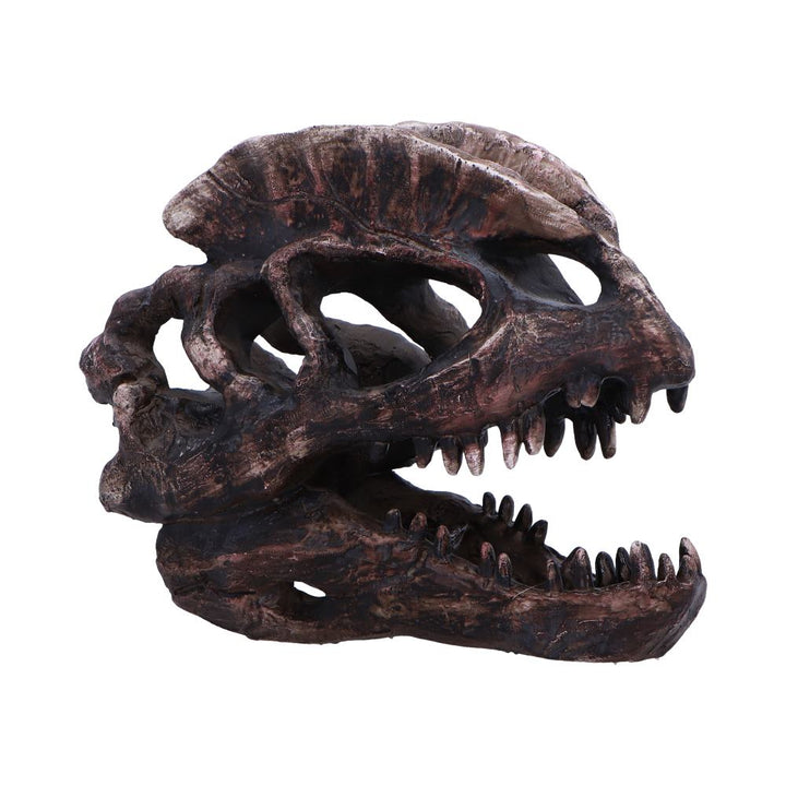 Dilophosaurus Skull Resin Replica 16cm 1