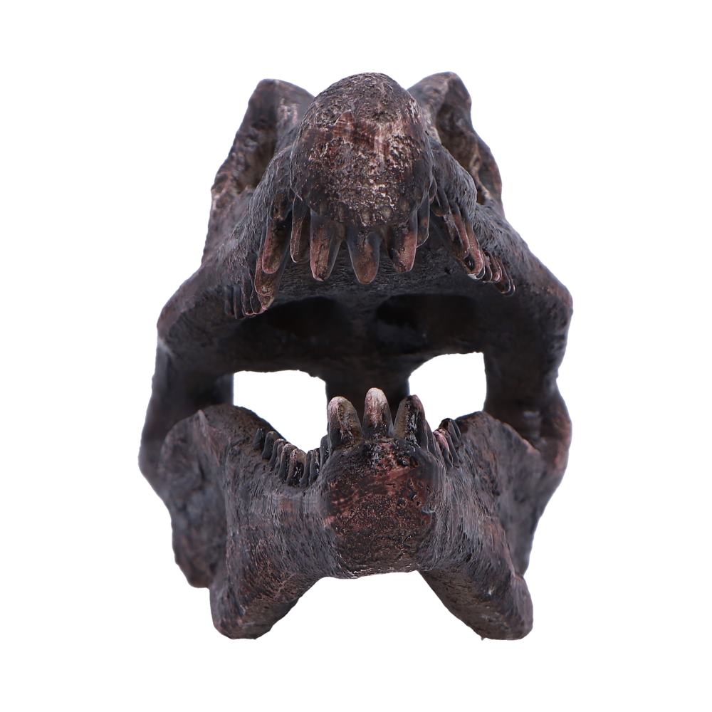 Spinosaurus Skull Replica Fossilized Dinosaur Sculpture 16cm 2