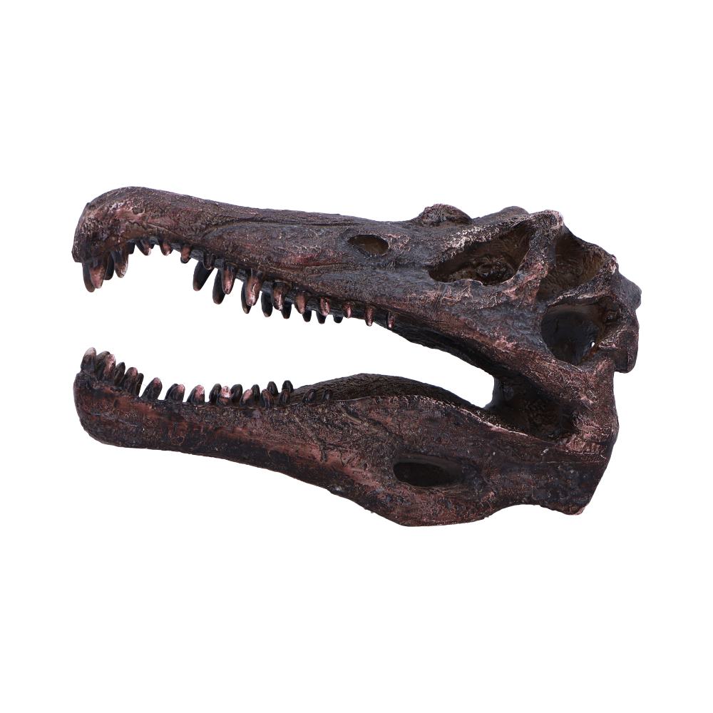 Spinosaurus Skull Replica Fossilized Dinosaur Sculpture 16cm 3