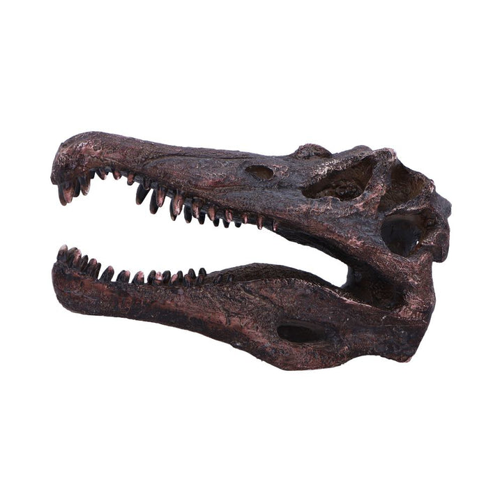 Spinosaurus Skull Replica Fossilized Dinosaur Sculpture 16cm 3