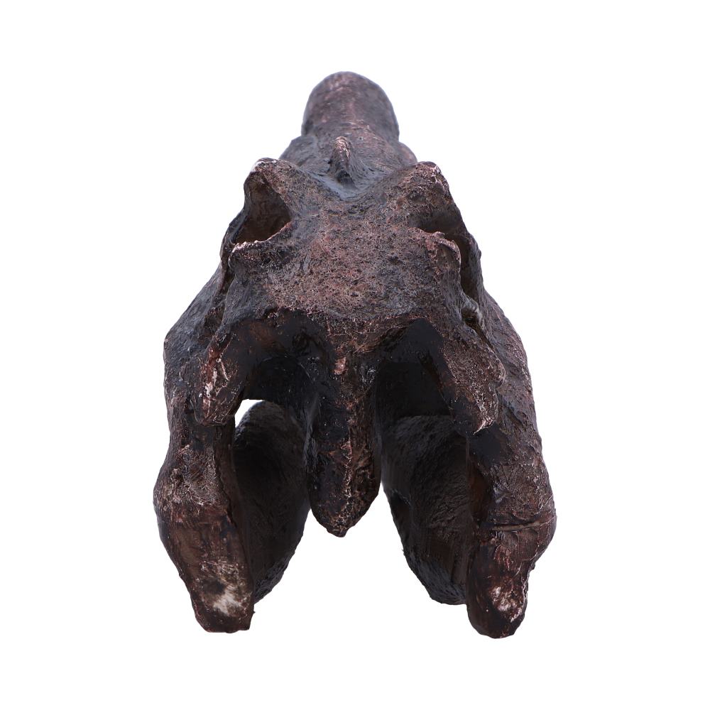 Spinosaurus Skull Replica Fossilized Dinosaur Sculpture 16cm 4