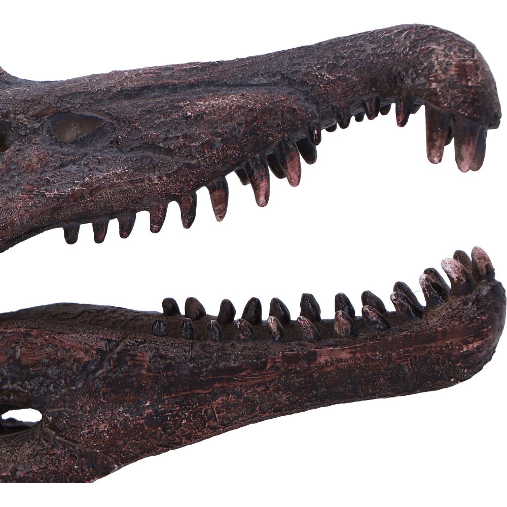 Spinosaurus Skull Replica Fossilized Dinosaur Sculpture 16cm 6