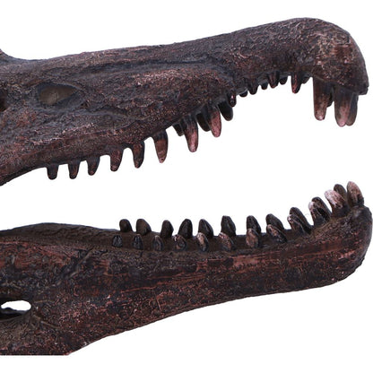 Spinosaurus Skull Replica Fossilized Dinosaur Sculpture 16cm 6
