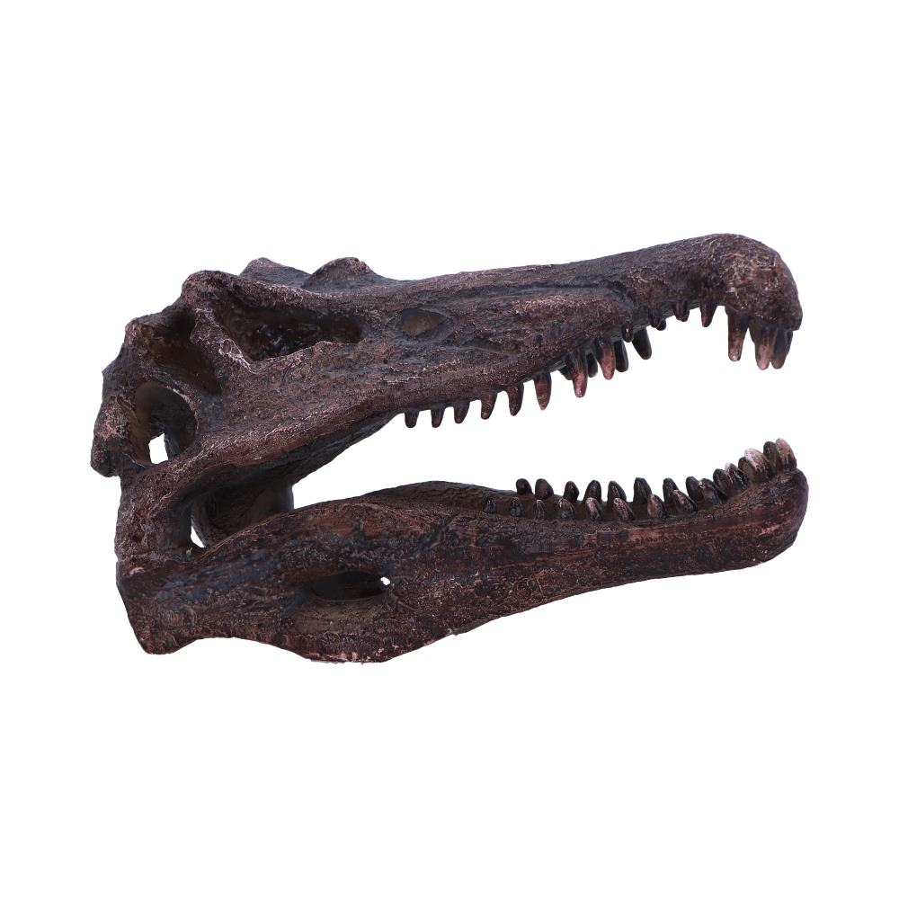 Spinosaurus Skull Replica Fossilized Dinosaur Sculpture 16cm 1
