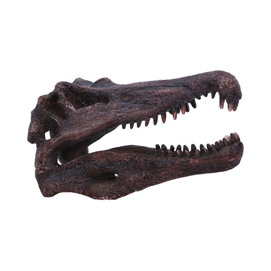 Spinosaurus Skull Replica Fossilized Dinosaur Sculpture 16cm 1
