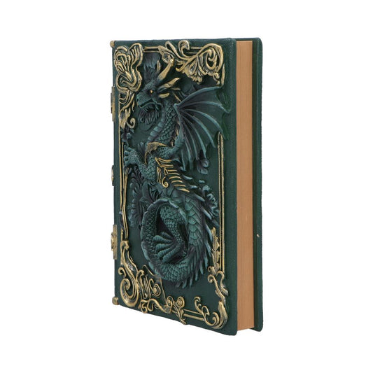 Dragons Grimoire Journal 19cm 2