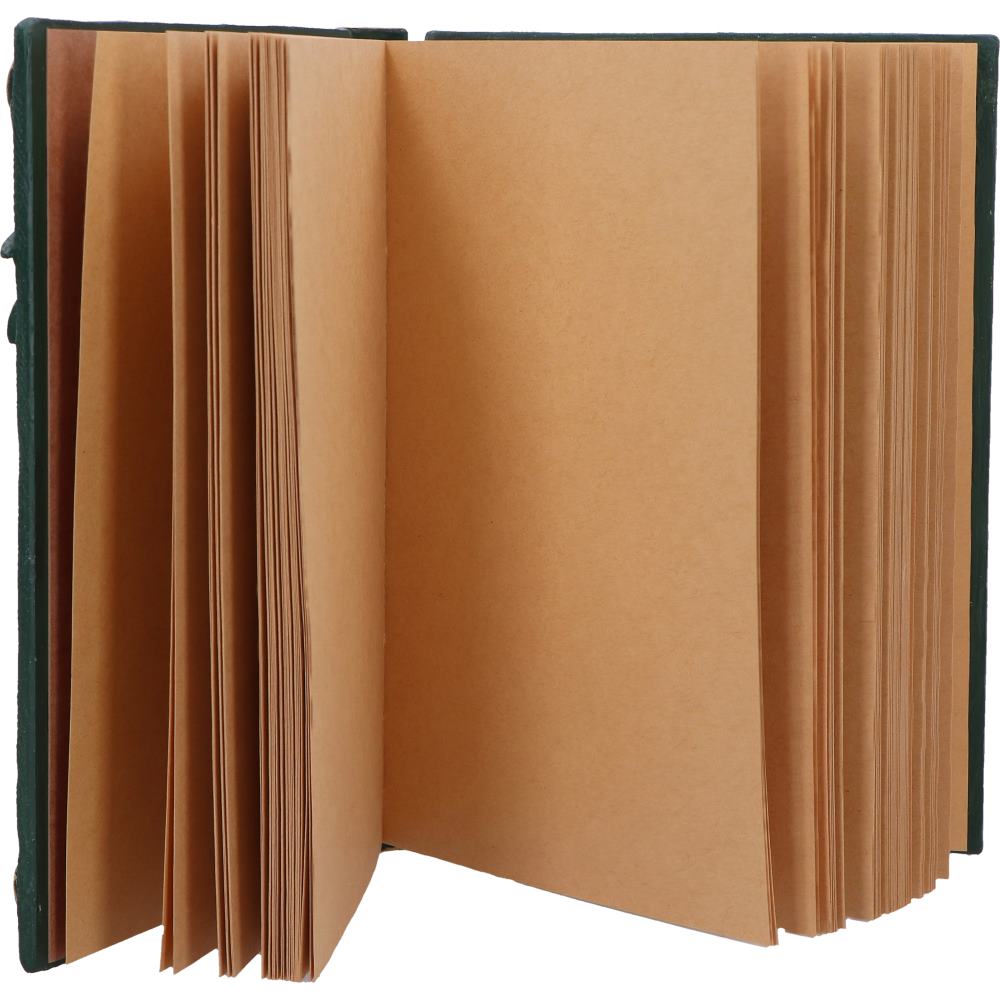 Dragons Grimoire Journal 19cm 6