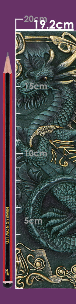 Dragons Grimoire Journal 19cm 8