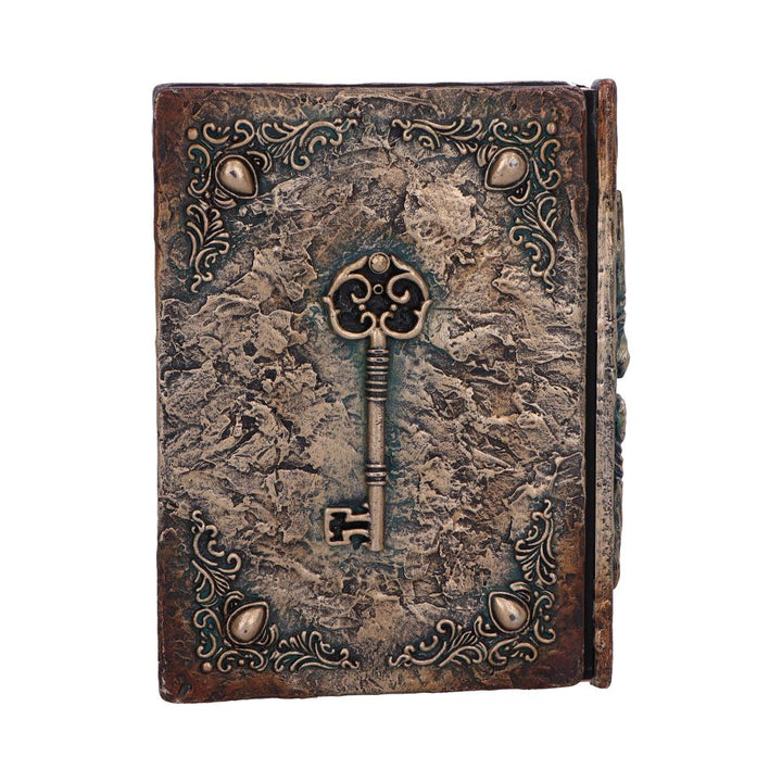 Wizards Grimoire Journal 19cm 3
