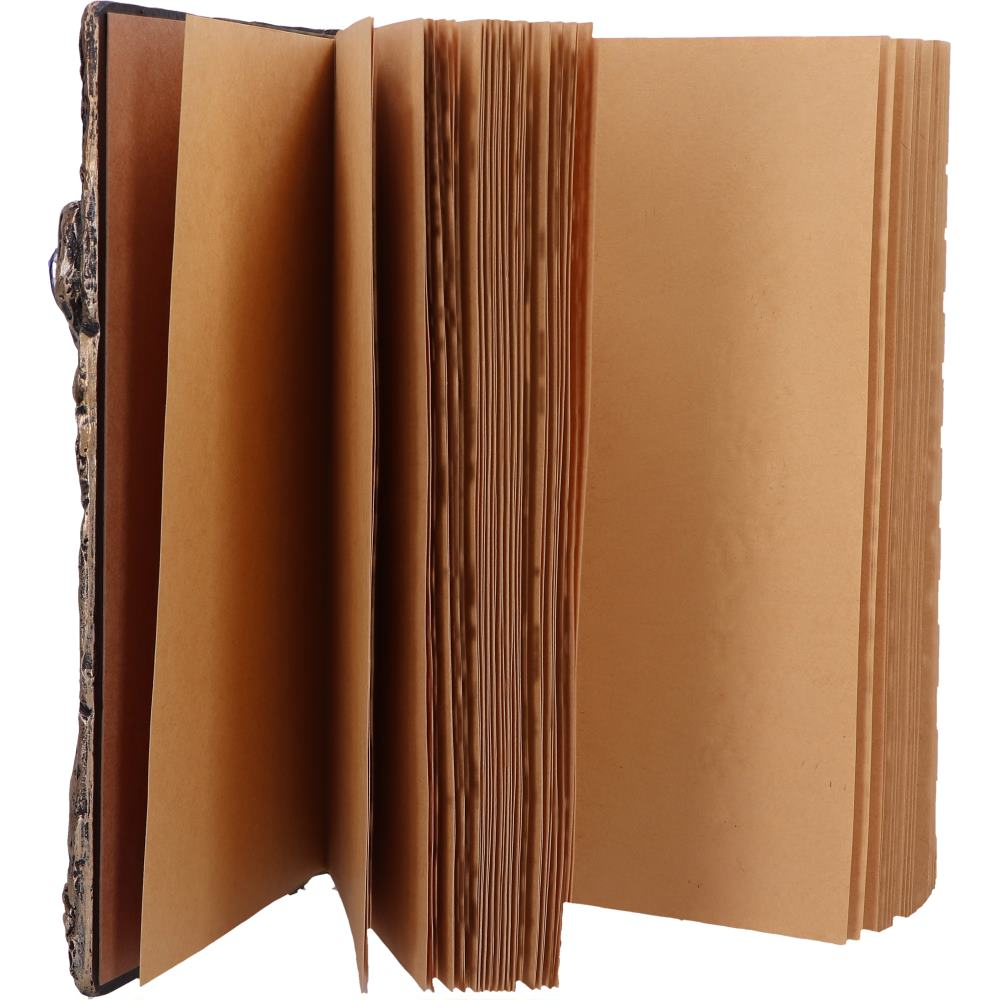 Wizards Grimoire Journal 19cm 6