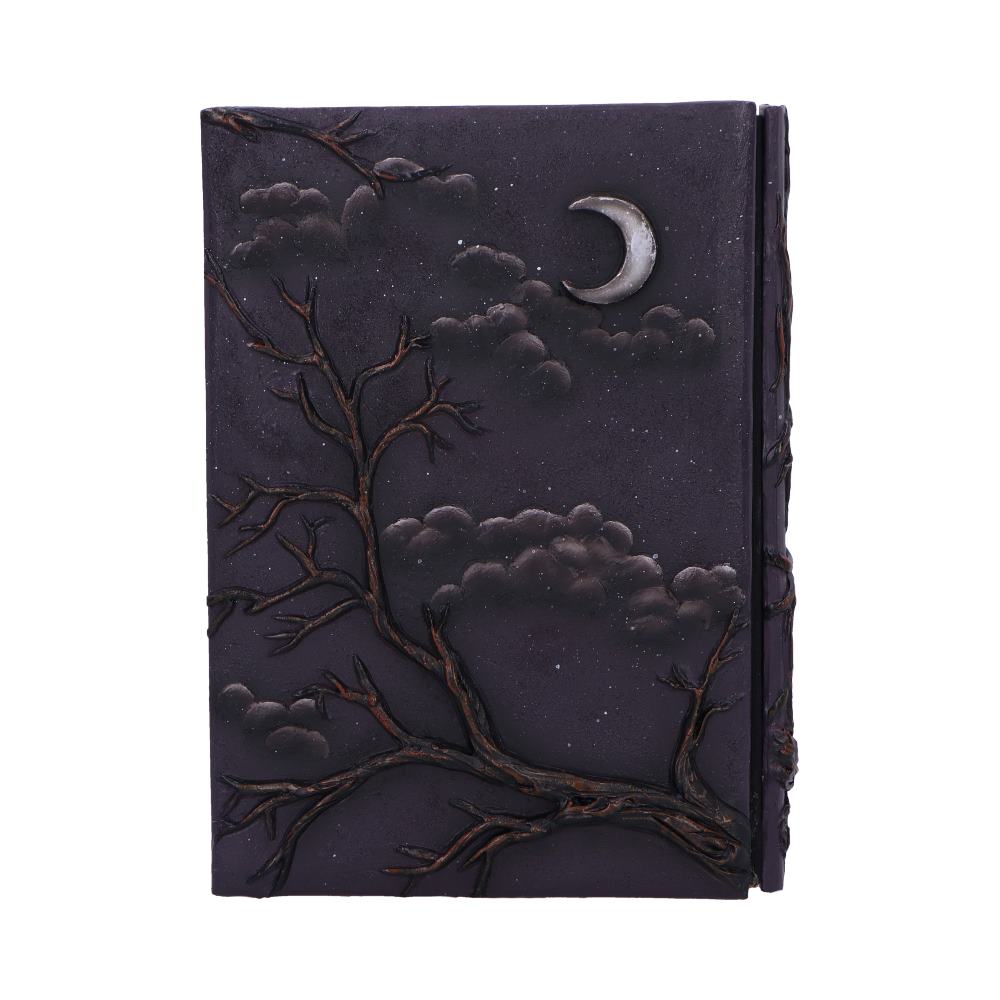 Ravens Grimoire Journal 19cm 3