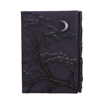 Ravens Grimoire Journal 19cm 3