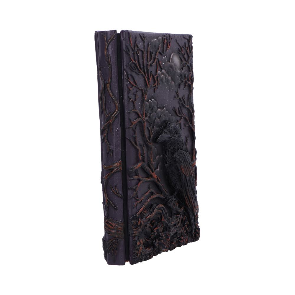Ravens Grimoire Journal 19cm 4