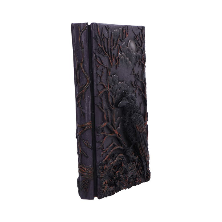 Ravens Grimoire Journal 19cm 4