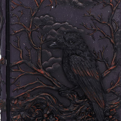 Ravens Grimoire Journal 19cm 5