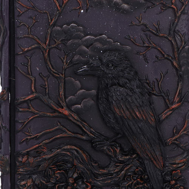 Ravens Grimoire Journal 19cm 5
