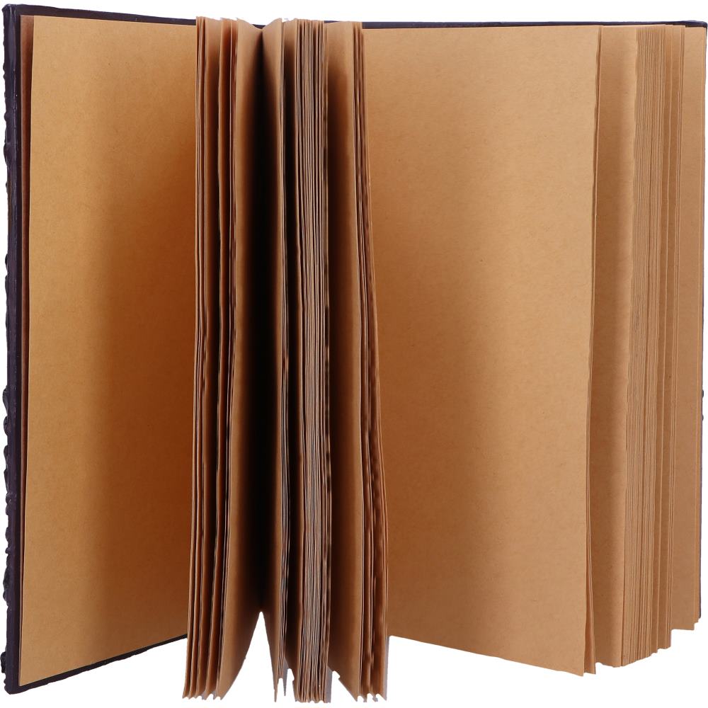 Ravens Grimoire Journal 19cm 6