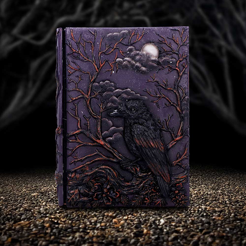 Ravens Grimoire Journal 19cm 7