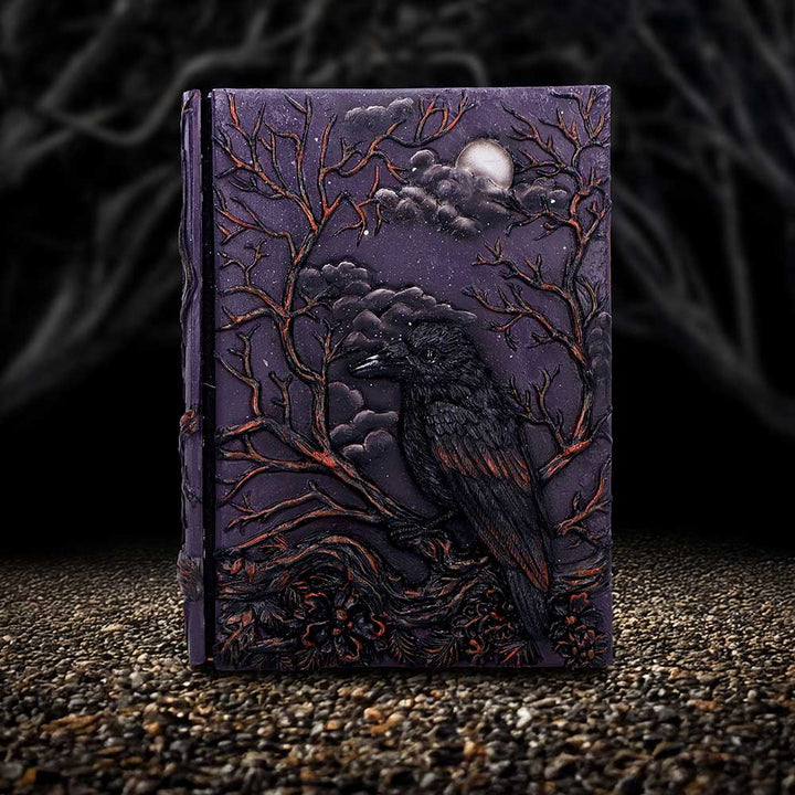 Ravens Grimoire Journal 19cm 7