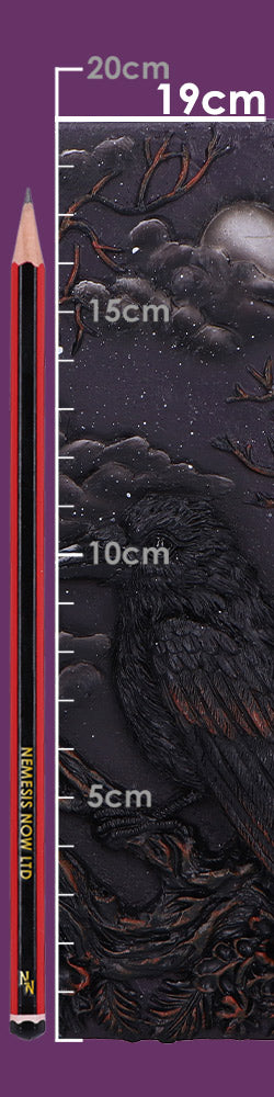 Ravens Grimoire Journal 19cm 8