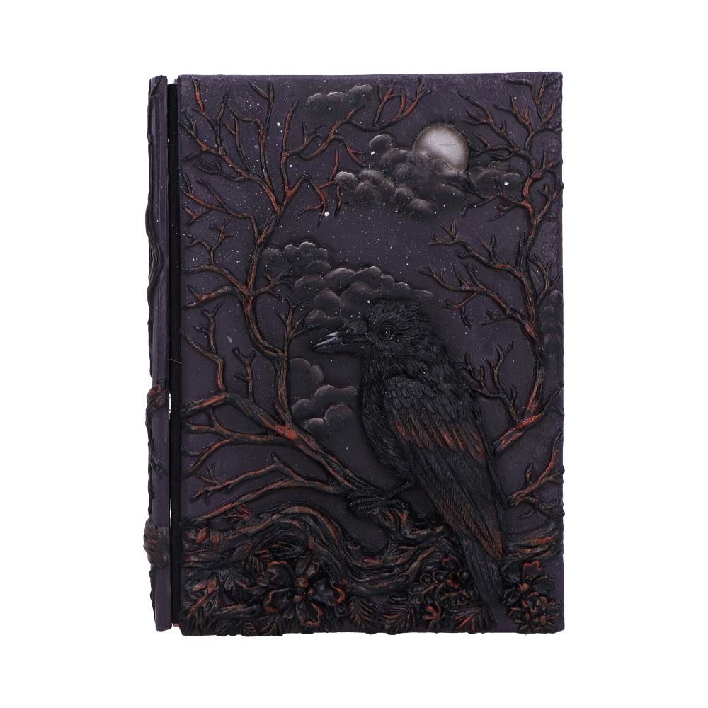Ravens Grimoire Journal 19cm 1