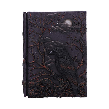 Ravens Grimoire Journal 19cm 1