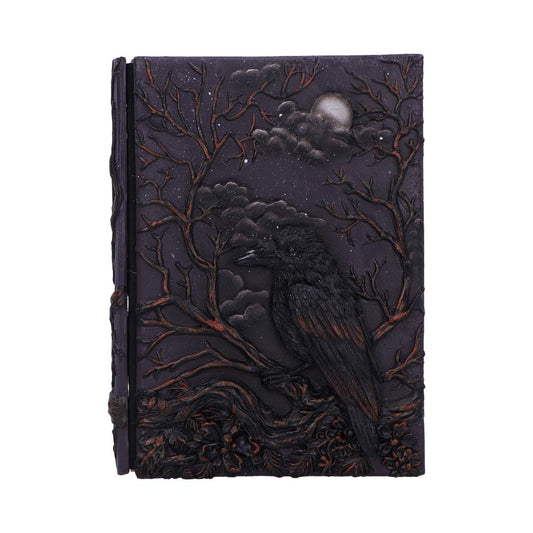 Ravens Grimoire Journal 19cm 1