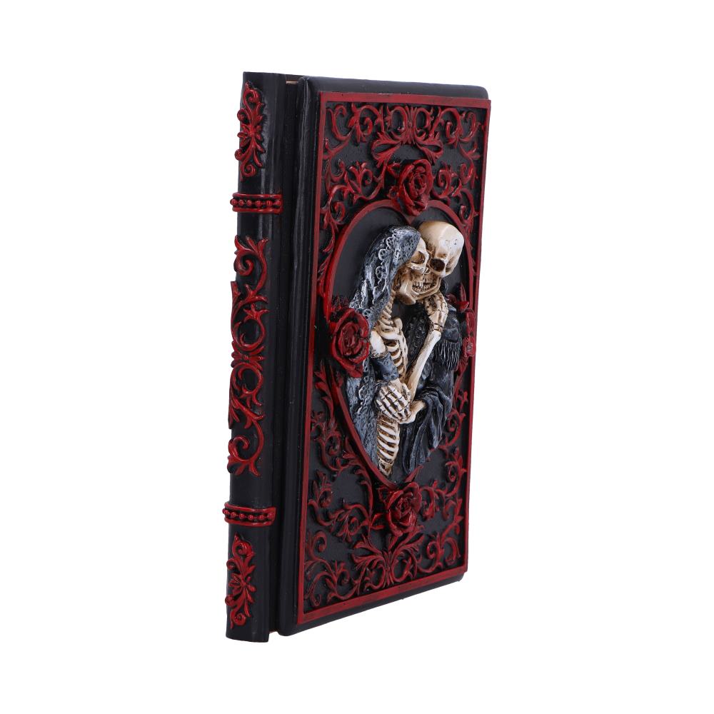 Lovers Grimoire Journal 19cm 4