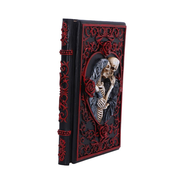 Lovers Grimoire Journal 19cm 4